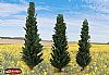 Noch Cypresses Trees 3pcs (21998)