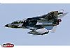 Tornado IDS Black Panthers (2668)