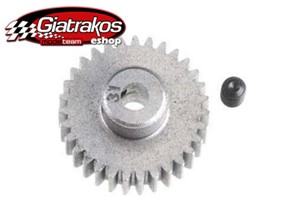Gear 31 Tooth Pinion (2431)